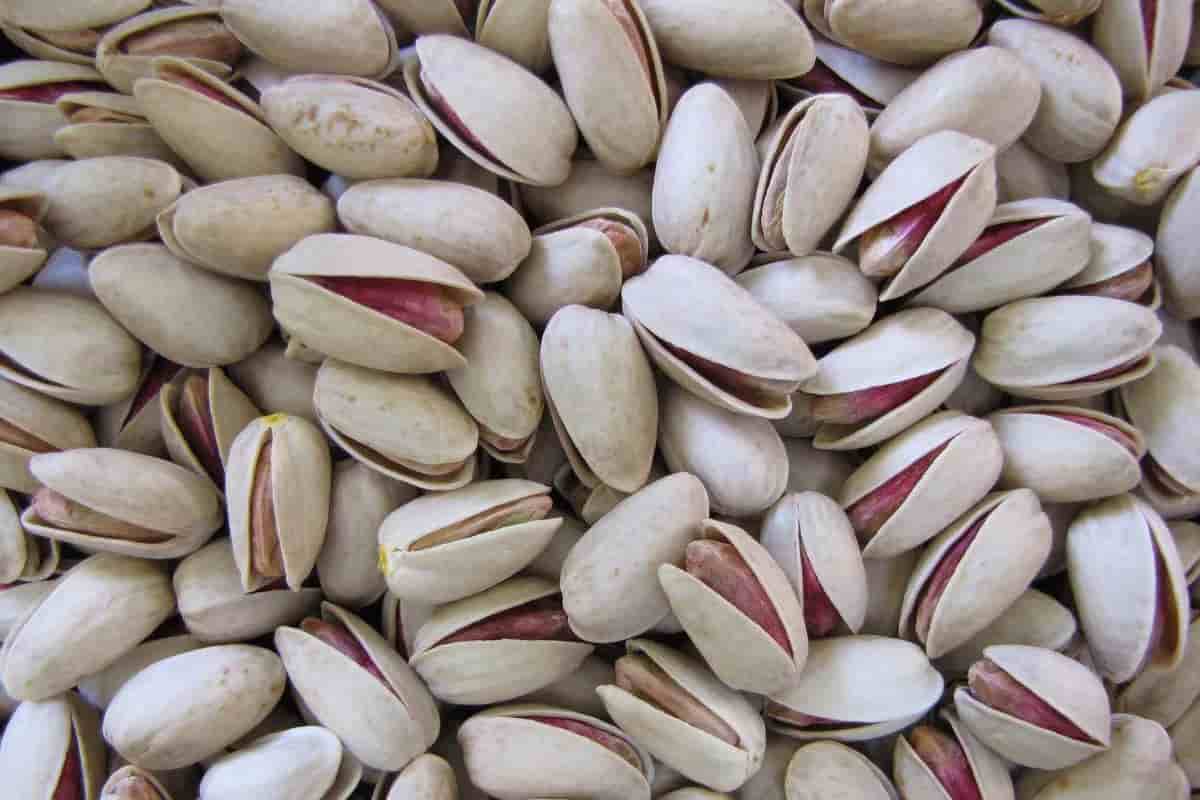 pistachio1